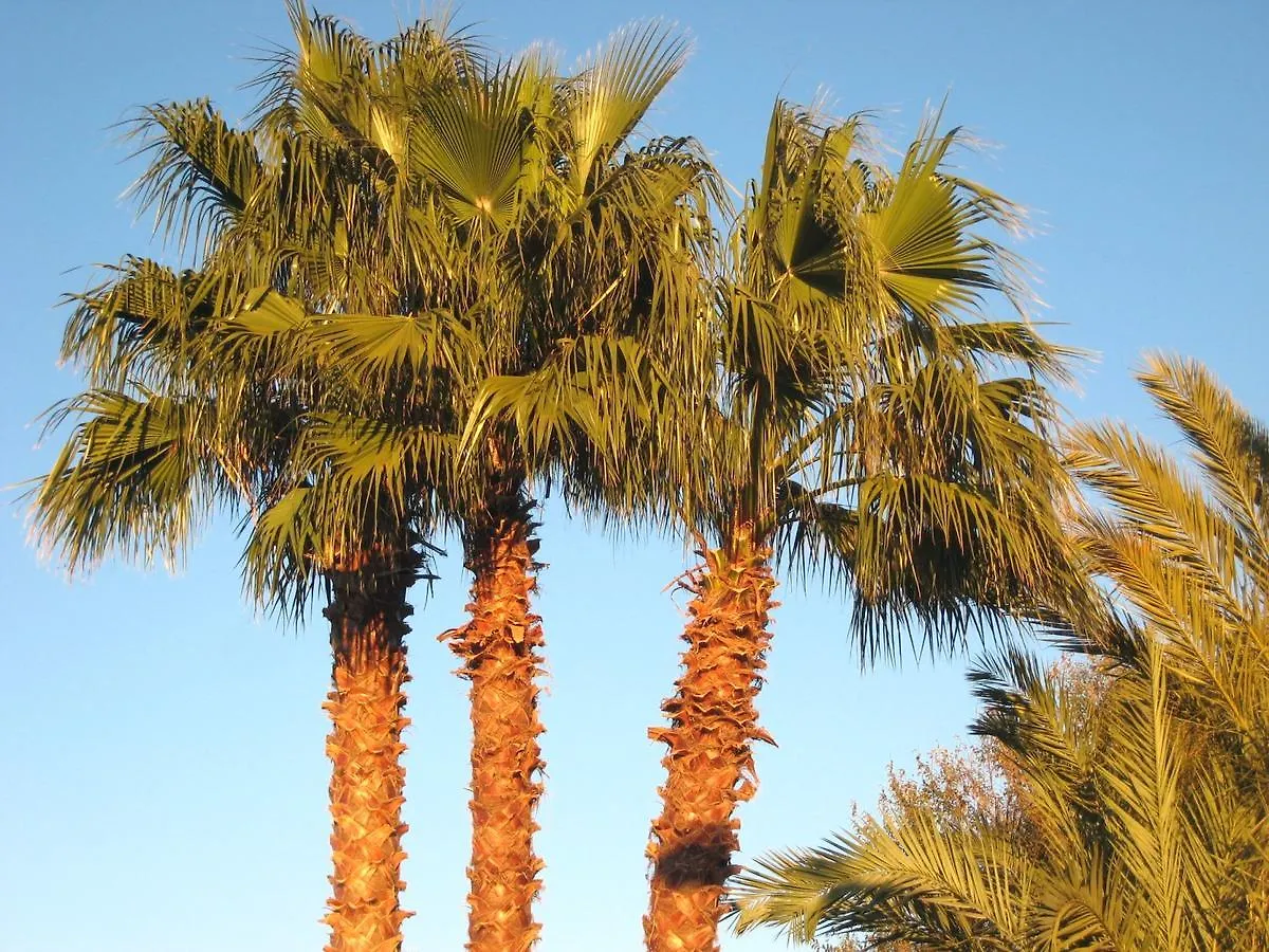 Hotel Camping La Pineda De Salou Kemp